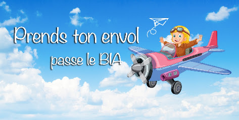 Photo bia-aero.fr l Formation BIA en ligne